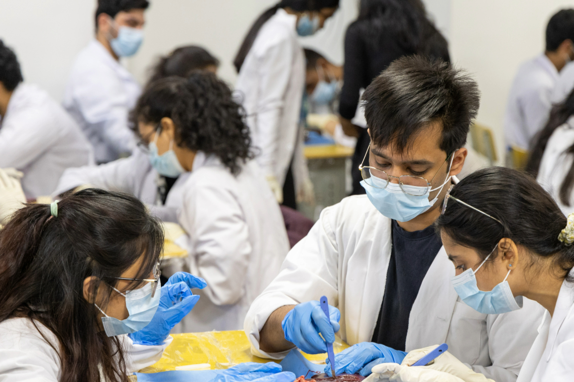 educational-dissection-workshop-series